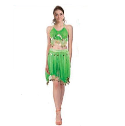 Adult Green Belly Dancer Costume