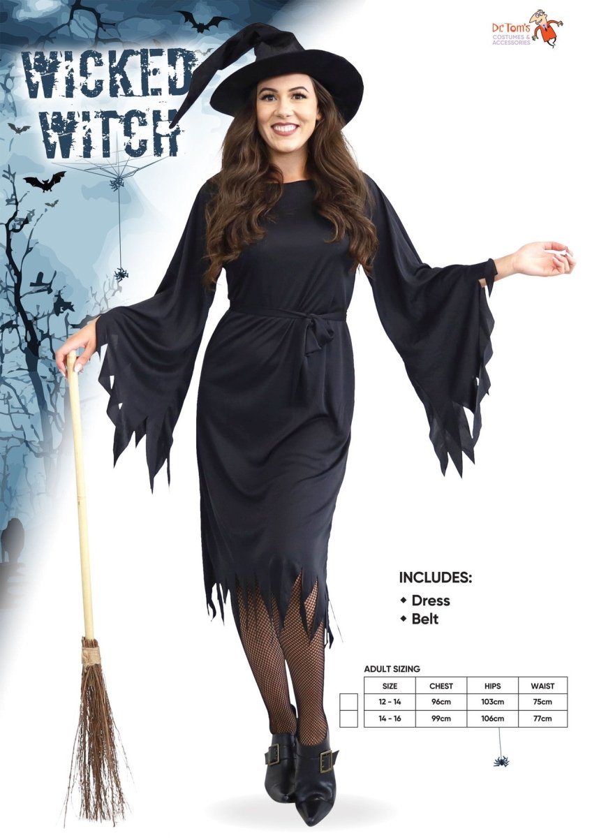 Adult Halloween Standard Wicked Witch Costume
