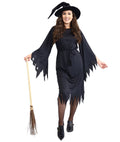 Adult Halloween Standard Wicked Witch Costume