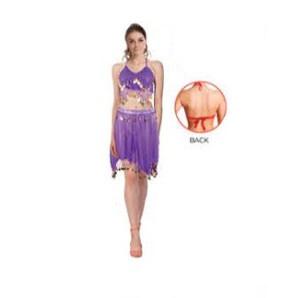 Adult Purple Belly Dancer Costume