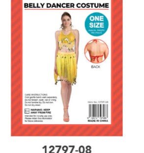 Adult Yellow Belly Dancer Costume
